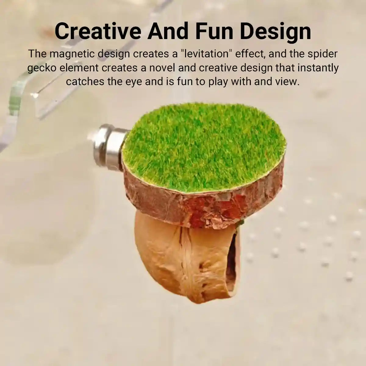 Magnetic Walnut Spider Hideout Natural Reptile Habitat Ornament