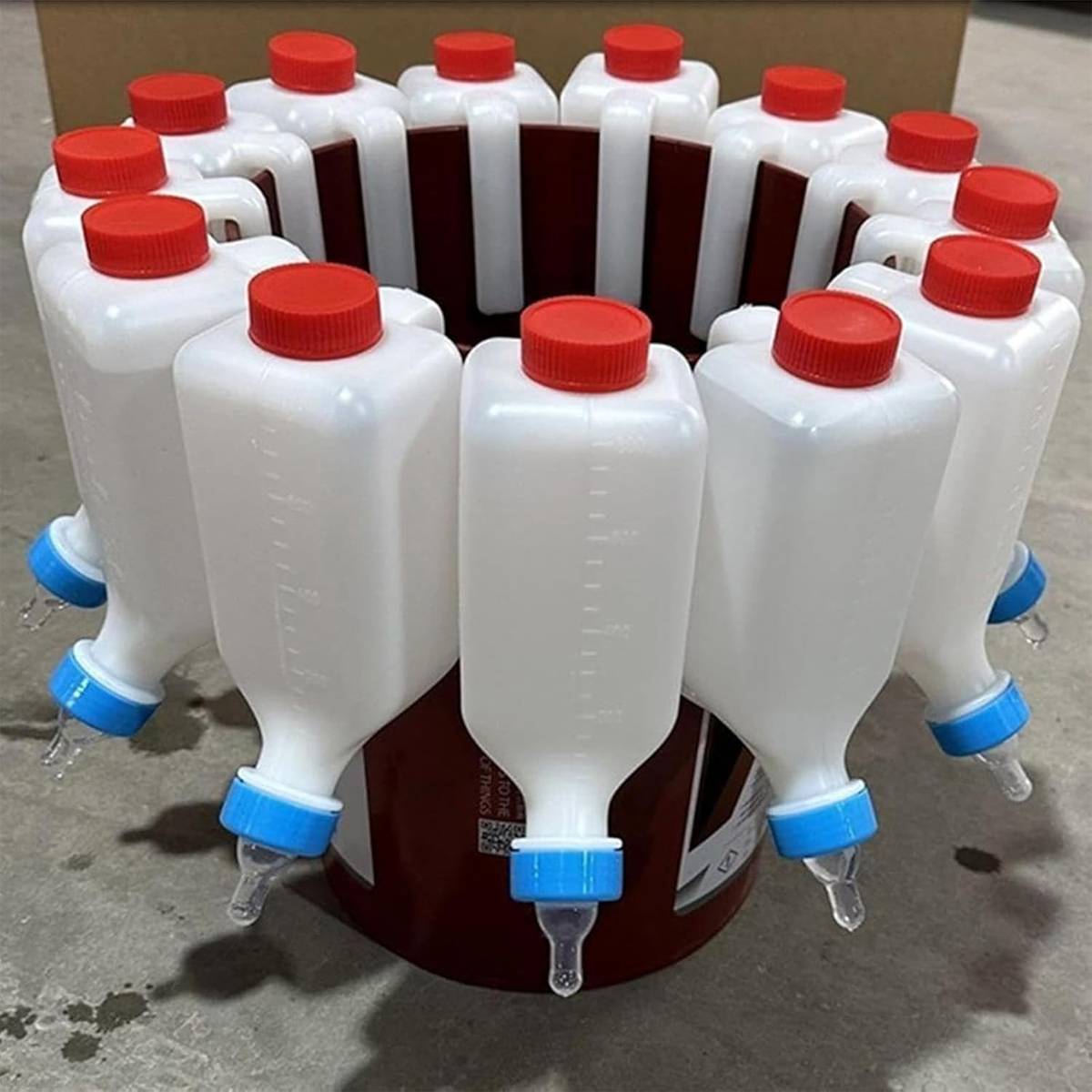 Lamb Feeding Bottle 500ml | Hanging Milk Feeder for Livestock & Newborns