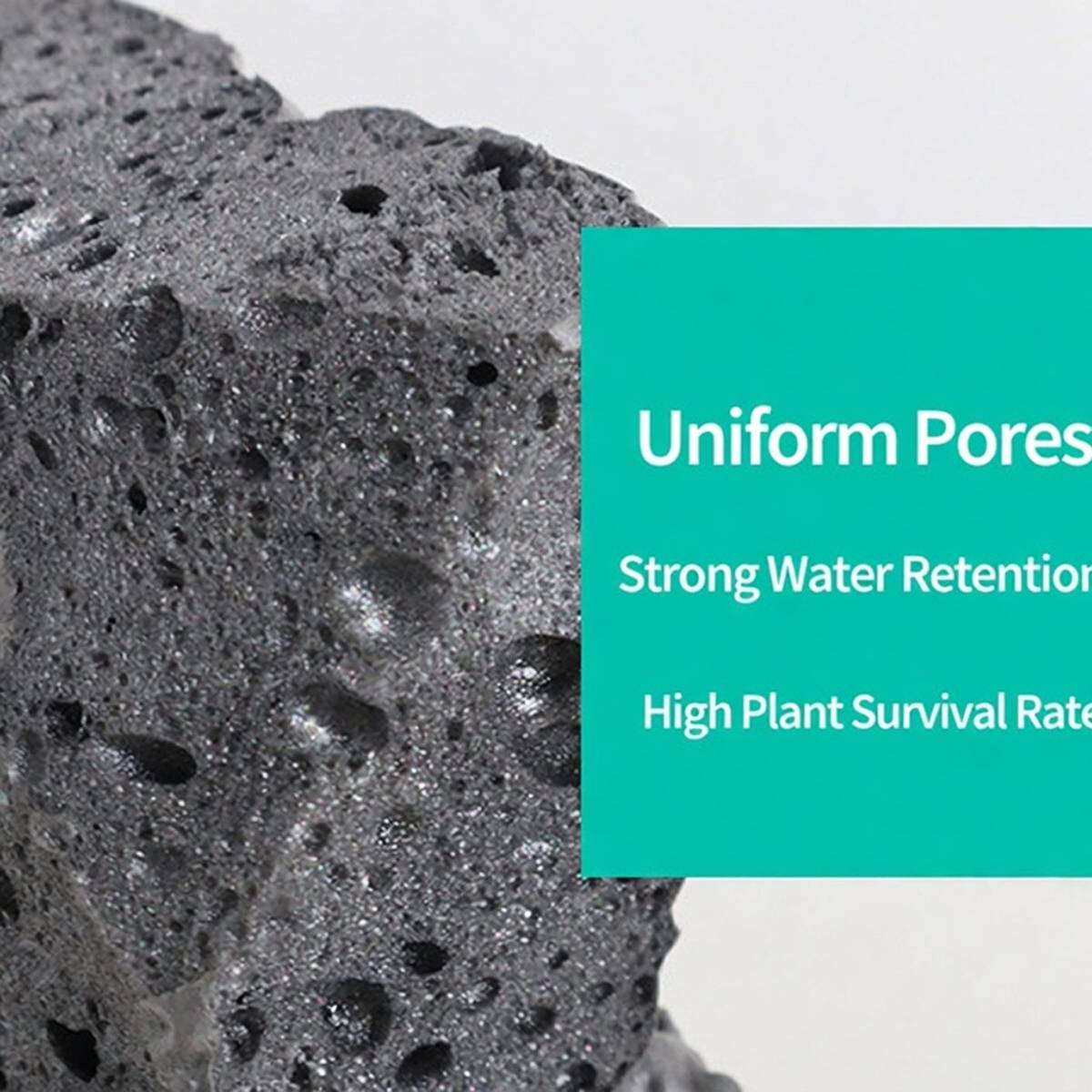 Rainforest Shaping Foam Landscaping Spray Foam Adhesive