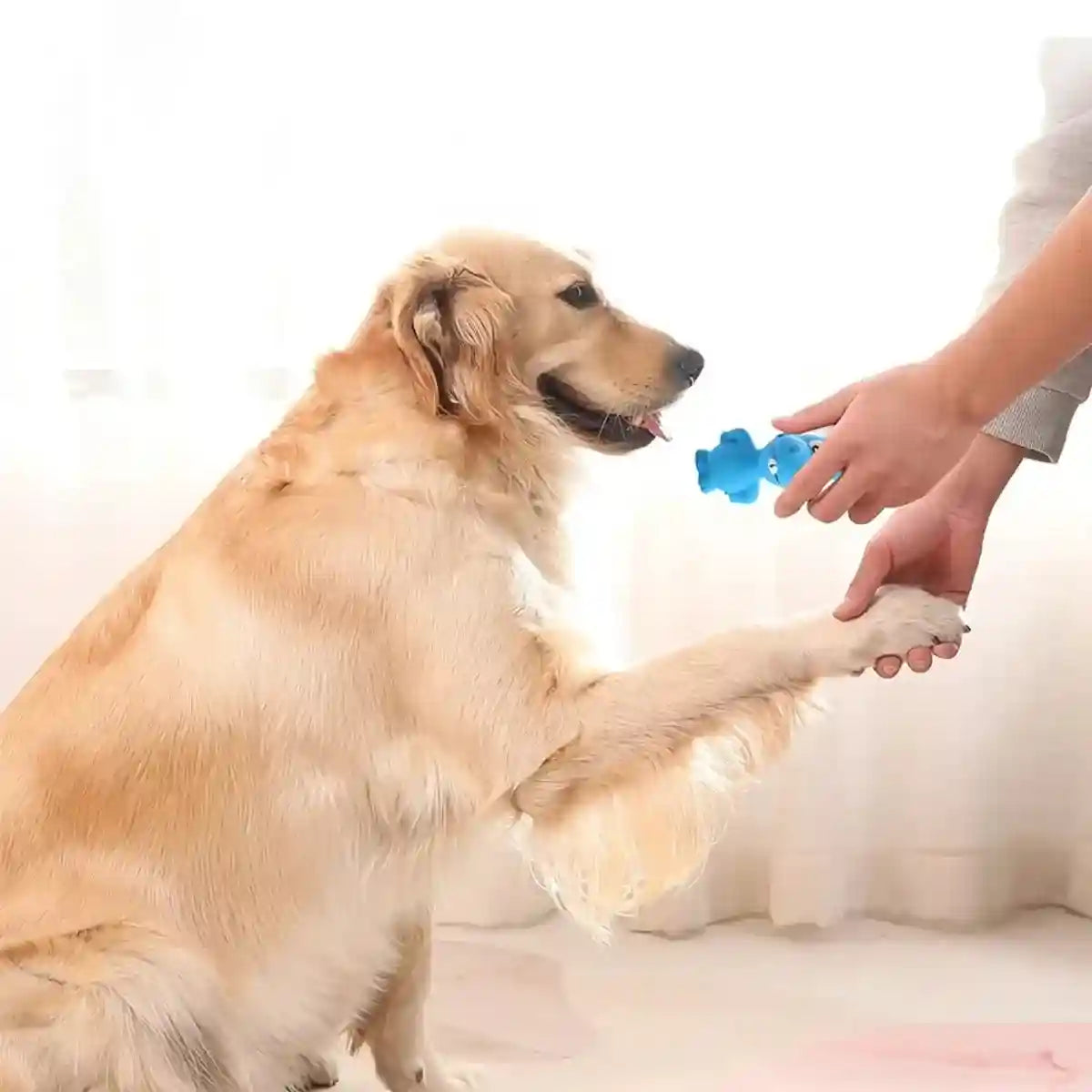 Latex Squeaky Dog Toy Animal Shape Pet Sound Chew Toy