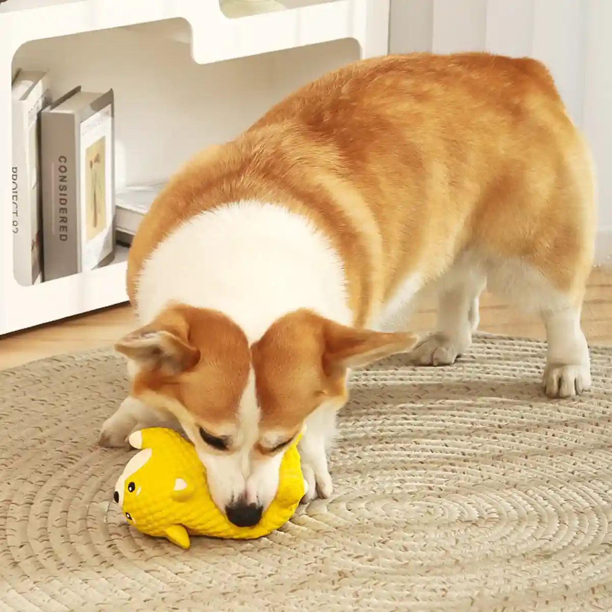 Dog Teething Toy Natural Latex Puppy Chew Toy