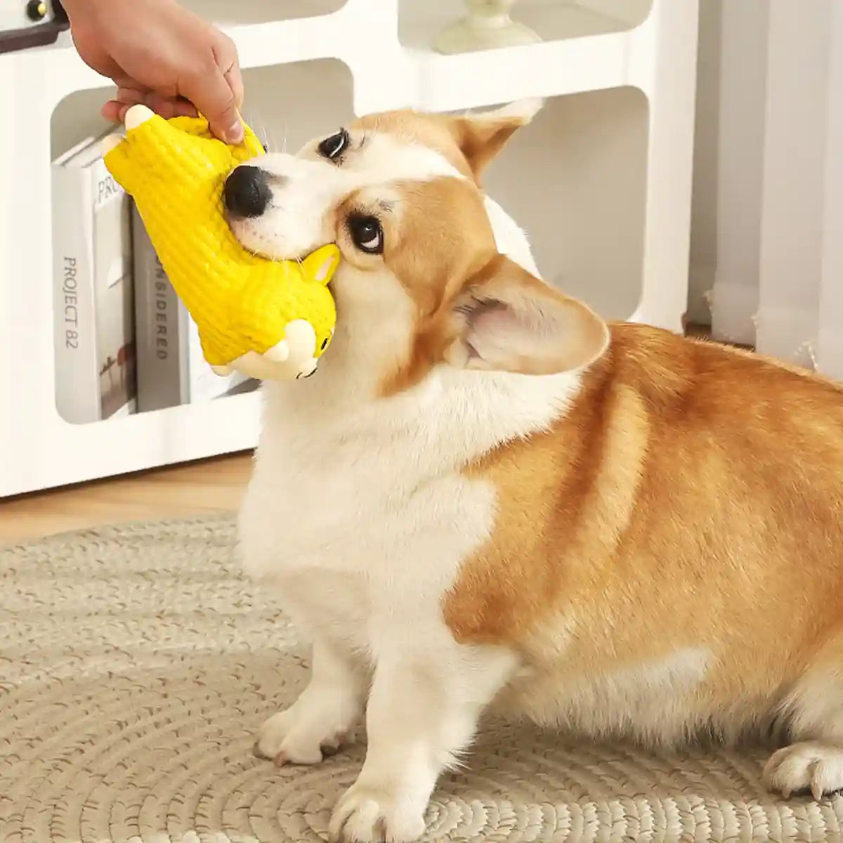 Dog Teething Toy Natural Latex Puppy Chew Toy