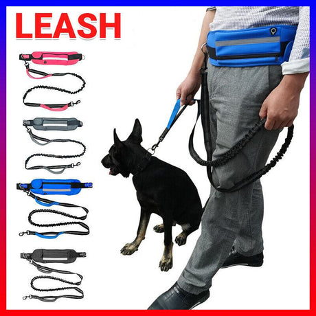 Dog Leash Lead With Waist Bag 4 Colours