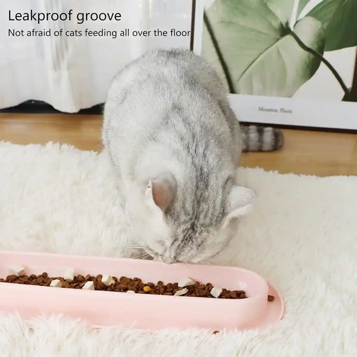 Non-Slip Cat Feeding Bowl Anti-Spill Single Food Dish for Kittens