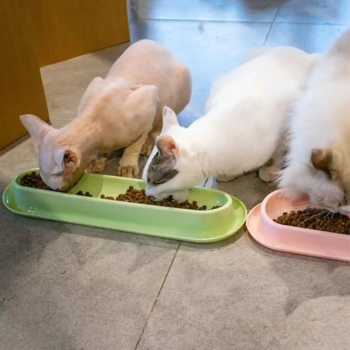 Non-Slip Cat Feeding Bowl Anti-Spill Single Food Dish for Kittens