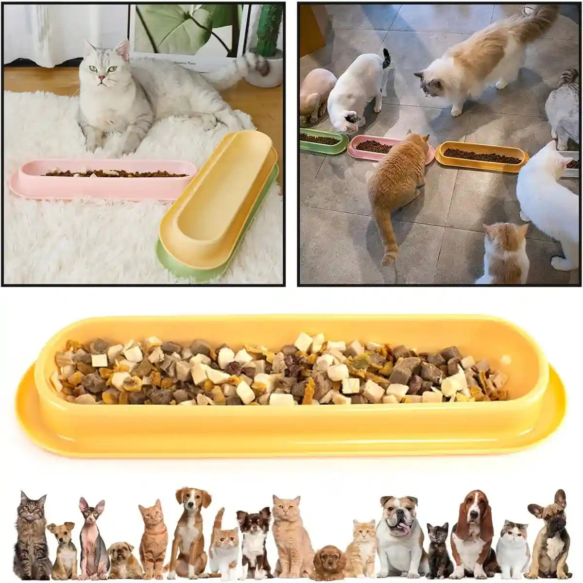 Non-Slip Cat Feeding Bowl Anti-Spill Single Food Dish for Kittens