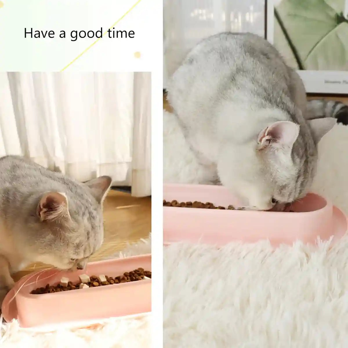 Non-Slip Cat Feeding Bowl Anti-Spill Single Food Dish for Kittens