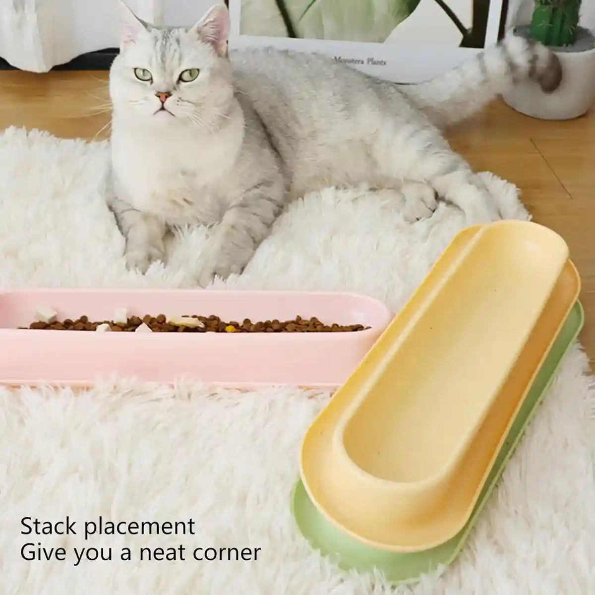 Non-Slip Cat Feeding Bowl Anti-Spill Single Food Dish for Kittens