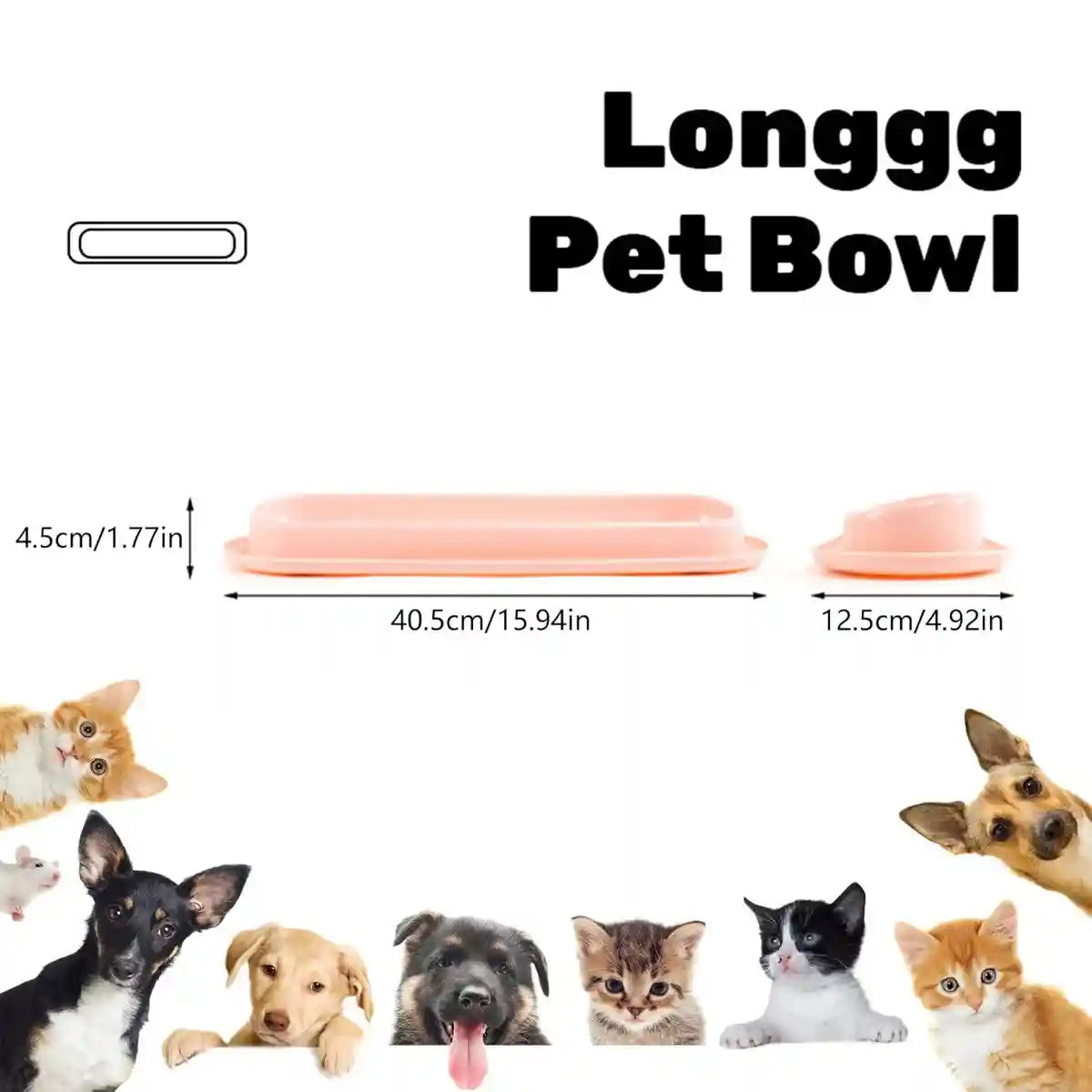 Non-Slip Cat Feeding Bowl Anti-Spill Single Food Dish for Kittens