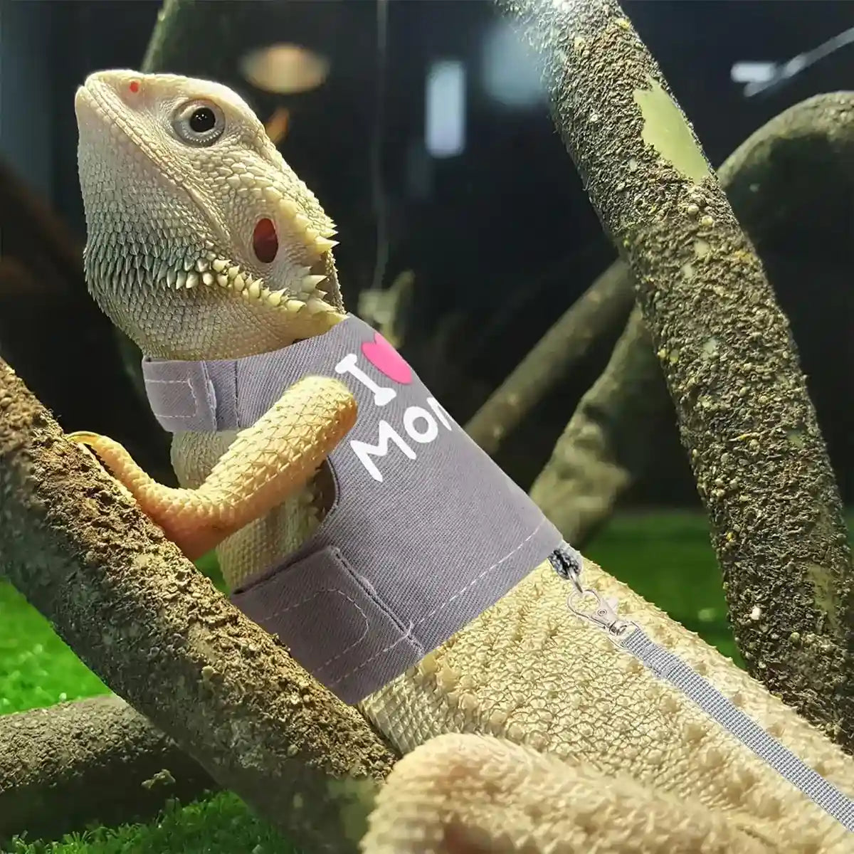 Luminous Reptile Clothes and Leash Set with "I Love Mommy" Print