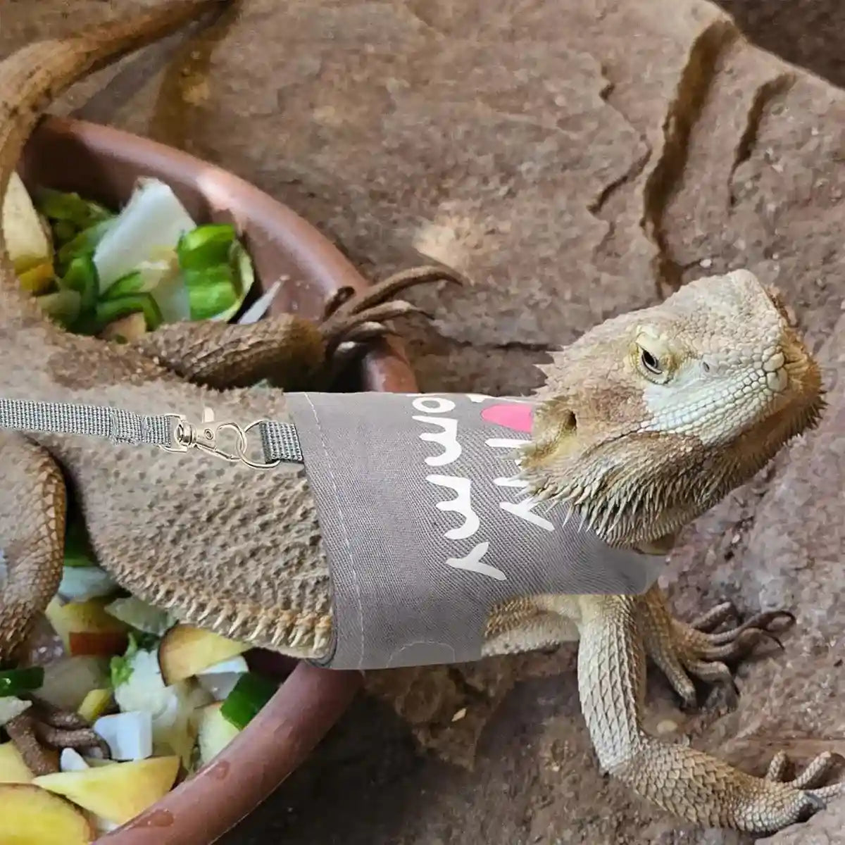 Luminous Reptile Clothes and Leash Set with "I Love Mommy" Print