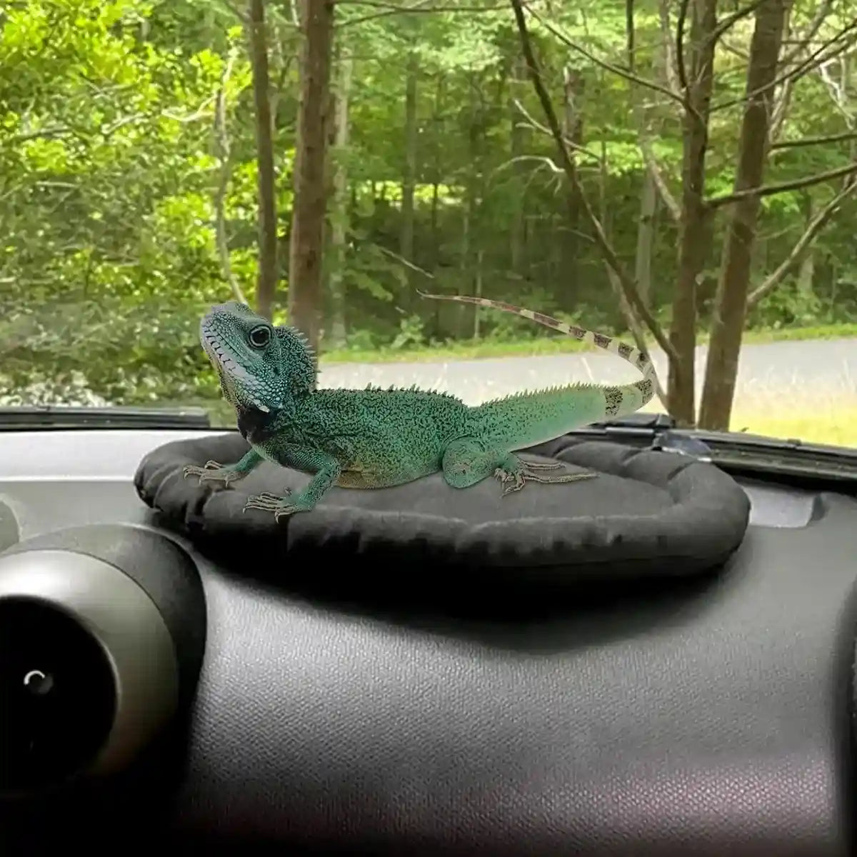 Comfortable Travel Reptile Mat for Car Windows Secure & Soft Design