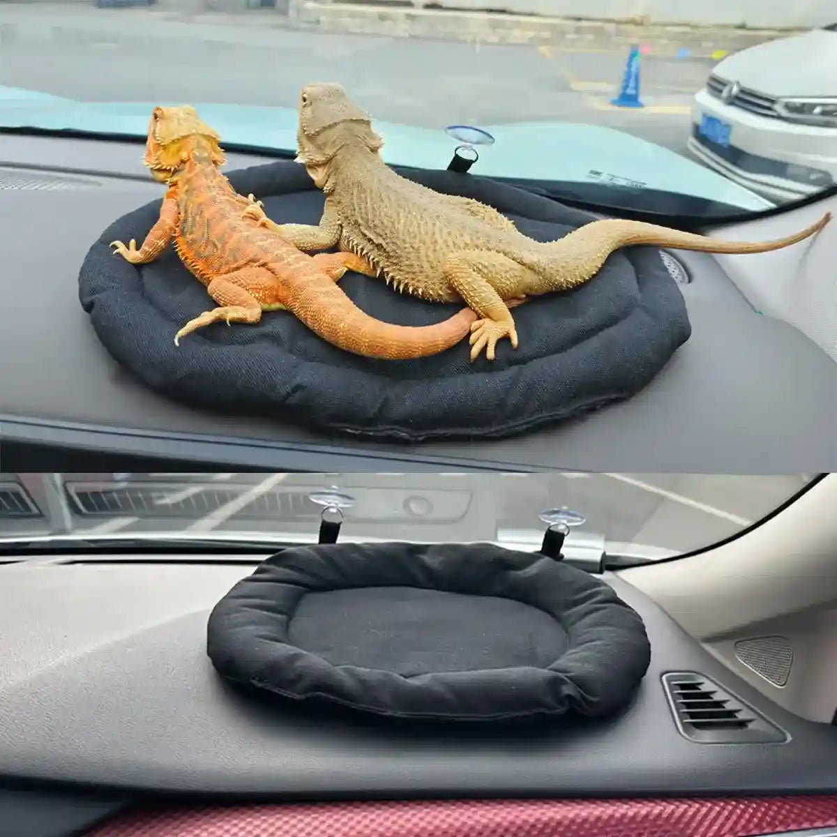 Comfortable Travel Reptile Mat for Car Windows Secure & Soft Design