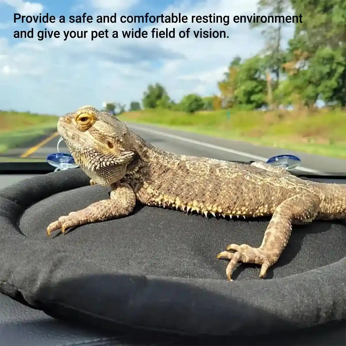 Comfortable Travel Reptile Mat for Car Windows Secure & Soft Design