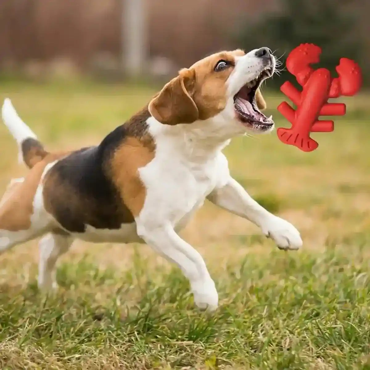 Tough Lobster Dog Chew Toy Durable Dental Toy for Large Breeds