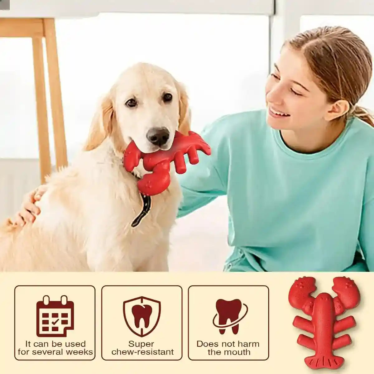 Tough Lobster Dog Chew Toy Durable Dental Toy for Large Breeds