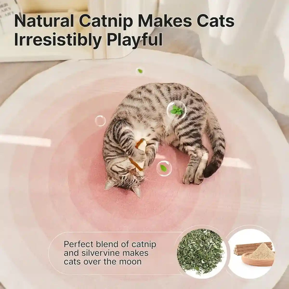 Natural Loofah Cat Toy Set with Catnip 3PCS Bite-Safe Chew Toys