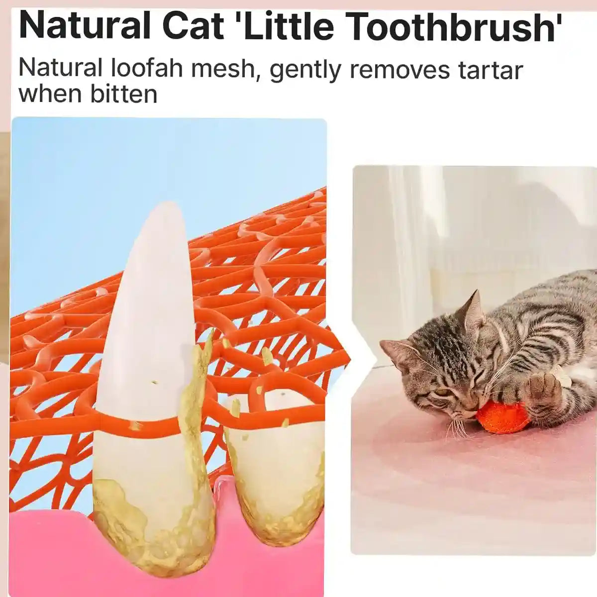 Natural Loofah Cat Toy Set with Catnip 3PCS Bite-Safe Chew Toys