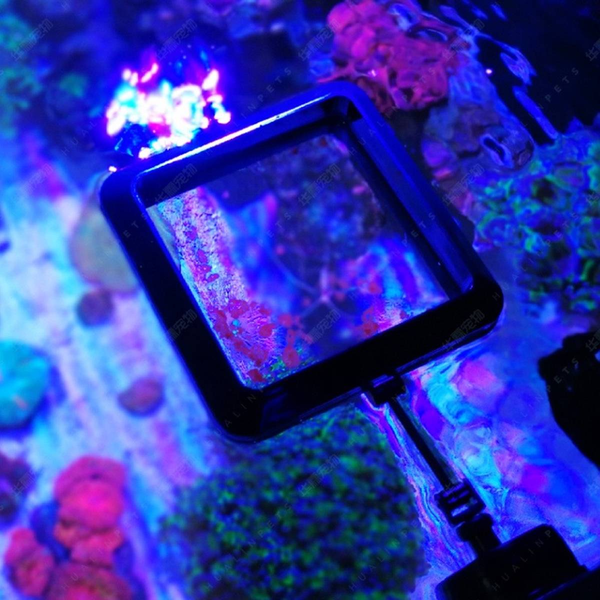 Magnetic Fish Feeding Ring - Floating Aquarium Feeder