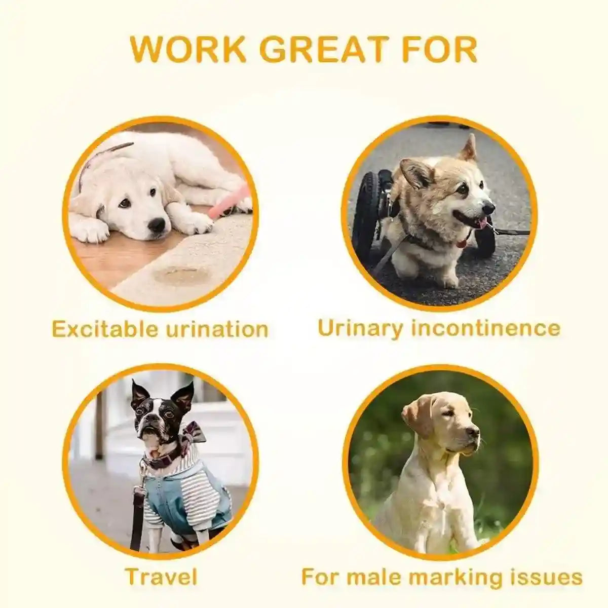 Male Dog Diapers Adjustable Fit Leak-Proof with Wetness Indicator