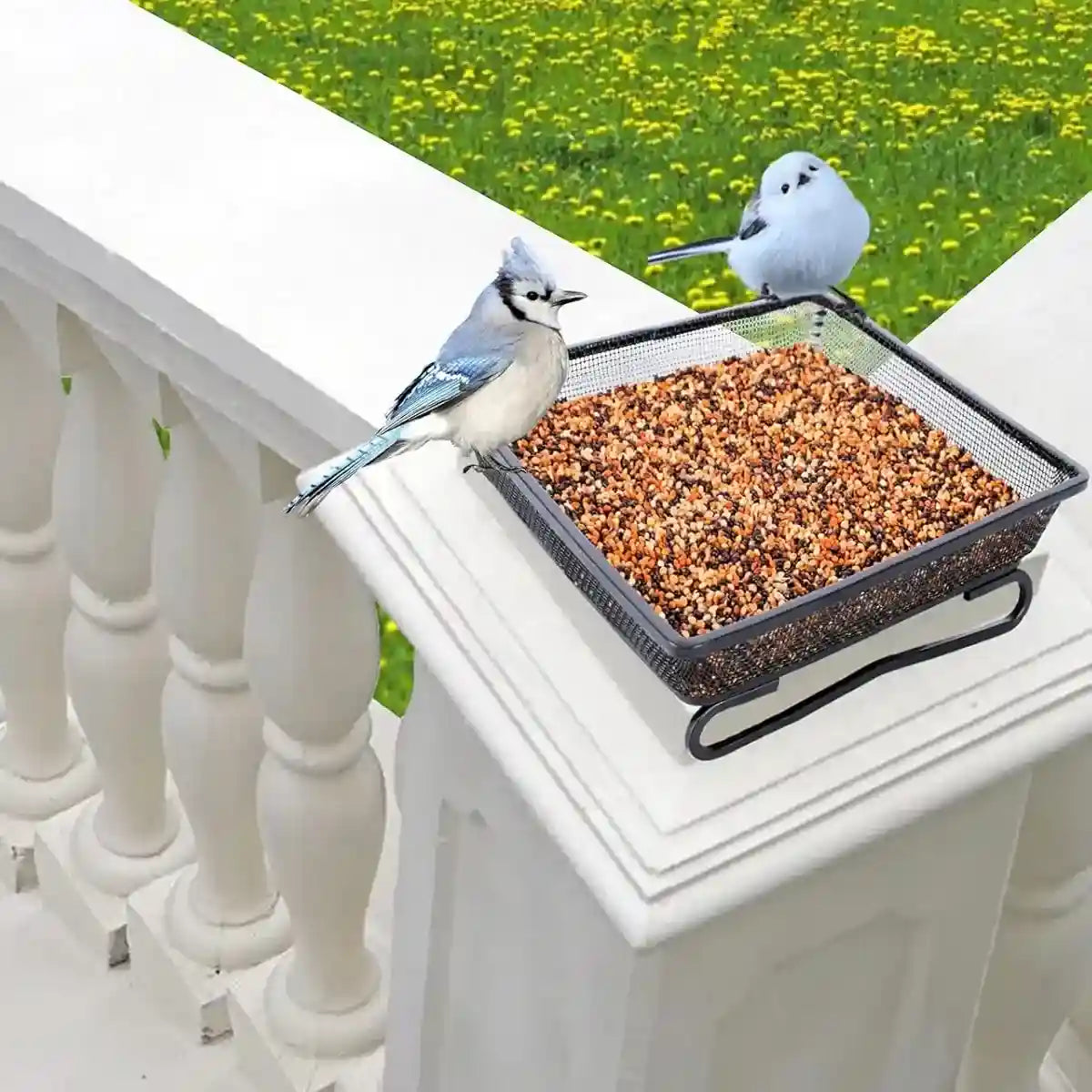 Rust-Resistant Outdoor Tray with Square Metal Bird Feeder Design