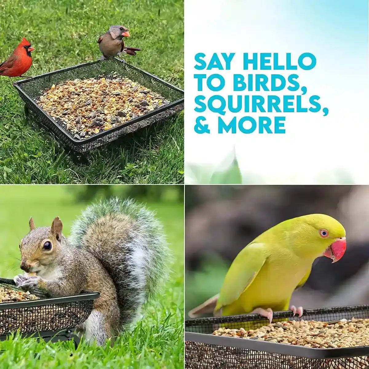 Rust-Resistant Outdoor Tray with Square Metal Bird Feeder Design