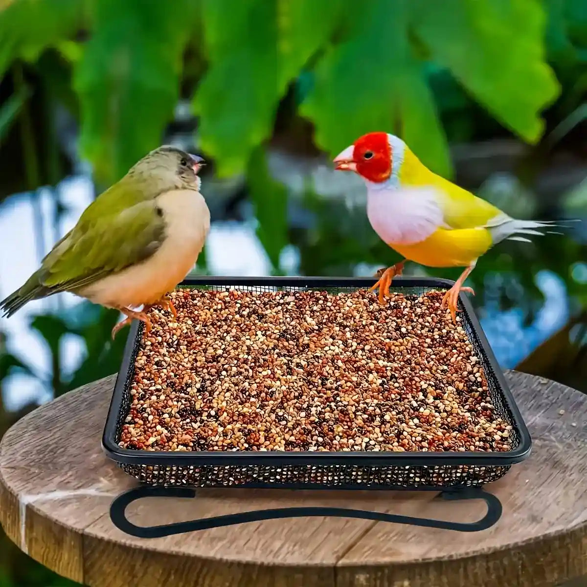 Rust-Resistant Outdoor Tray with Square Metal Bird Feeder Design