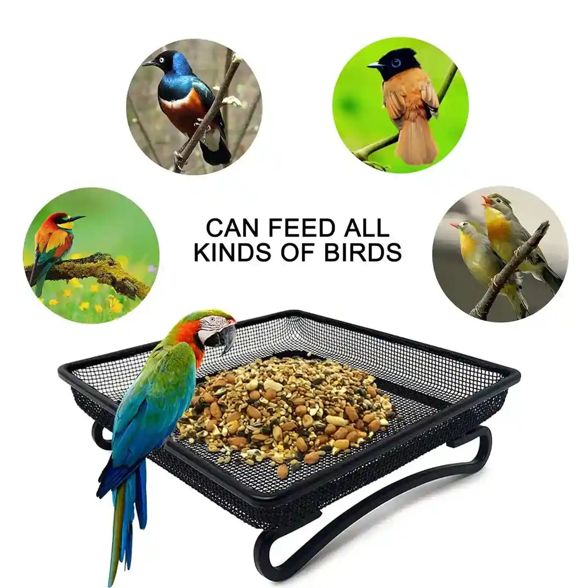 Rust-Resistant Outdoor Tray with Square Metal Bird Feeder Design