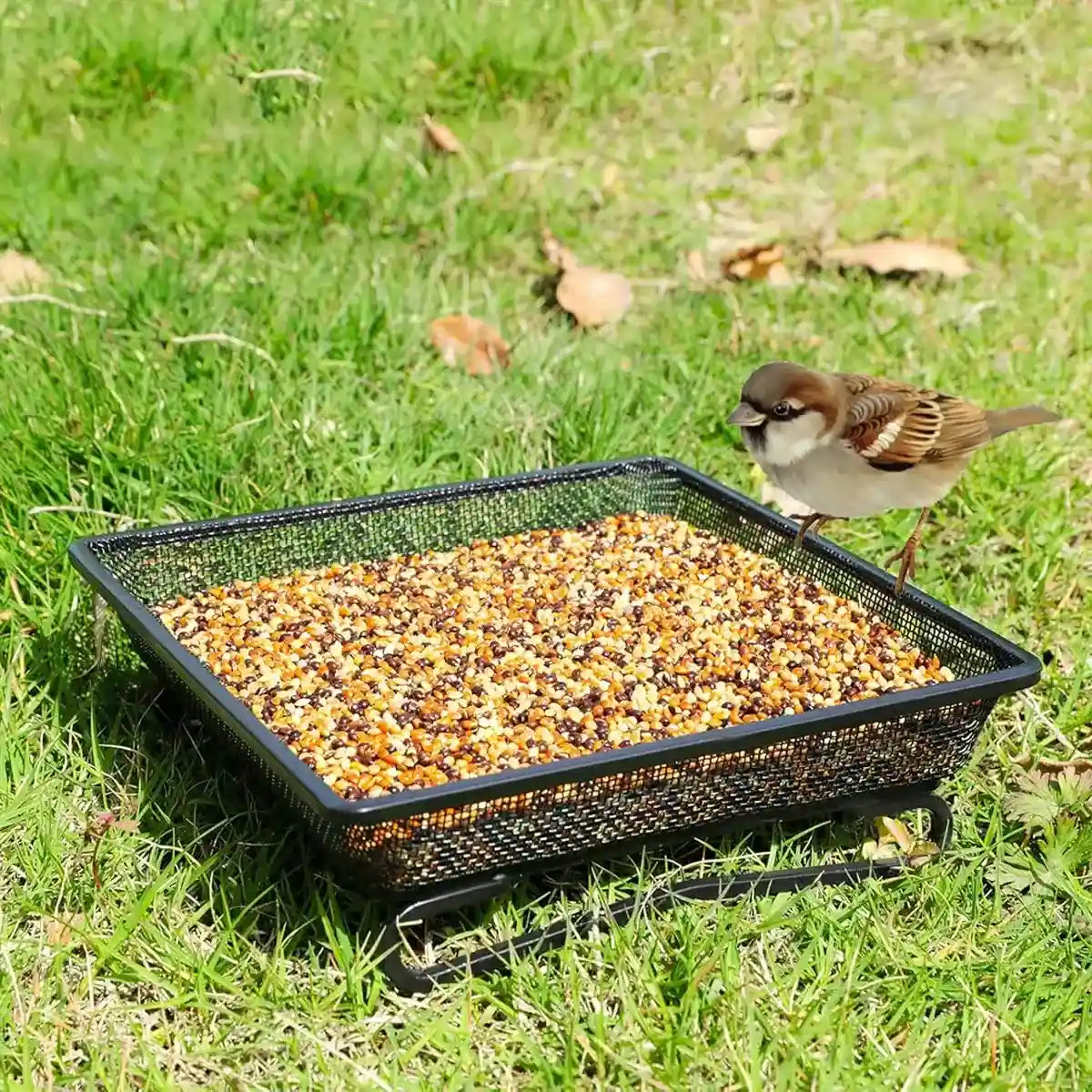 Rust-Resistant Outdoor Tray with Square Metal Bird Feeder Design