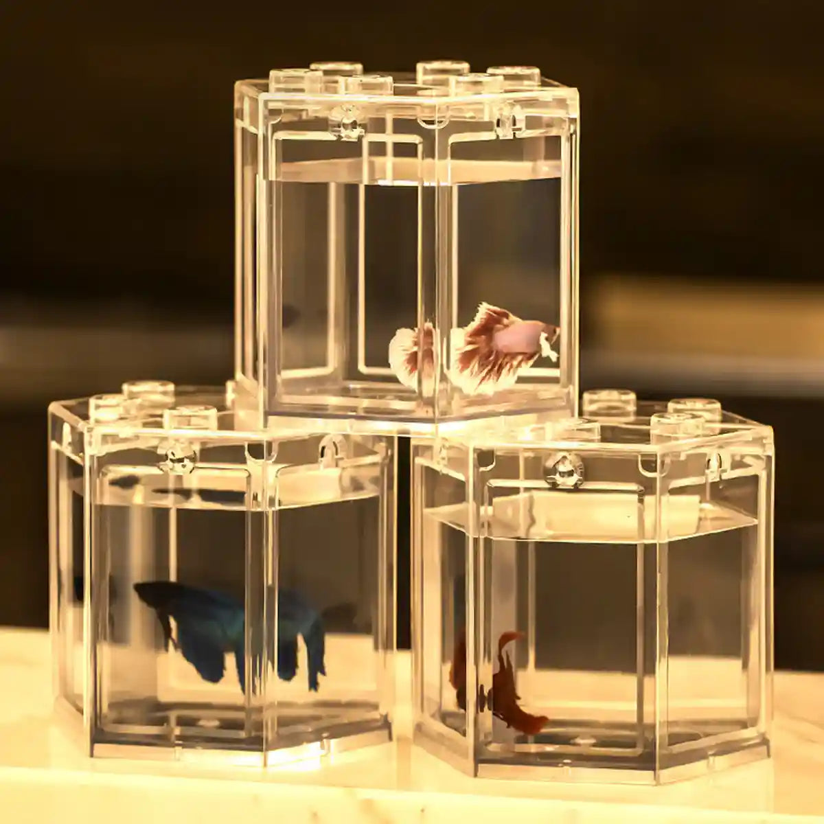 Mini Fish Tank Clear Desktop Aquarium for Betta & Small Fish