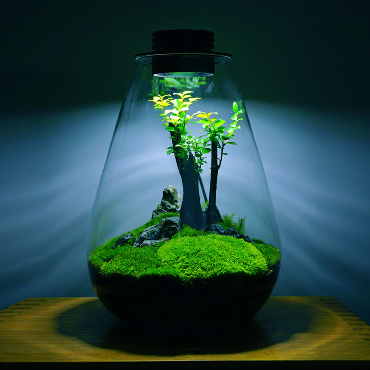 Miniature Landscape Glass Bottle With USB Light