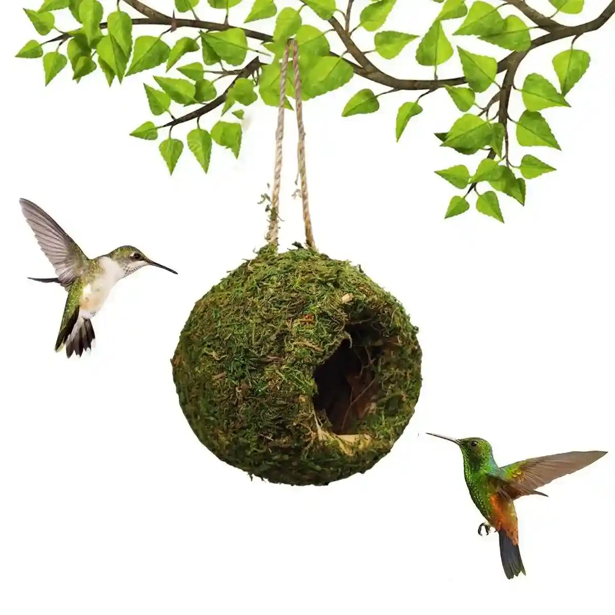 Eco-Friendly Hanging Moss House For Birds & Reptiles