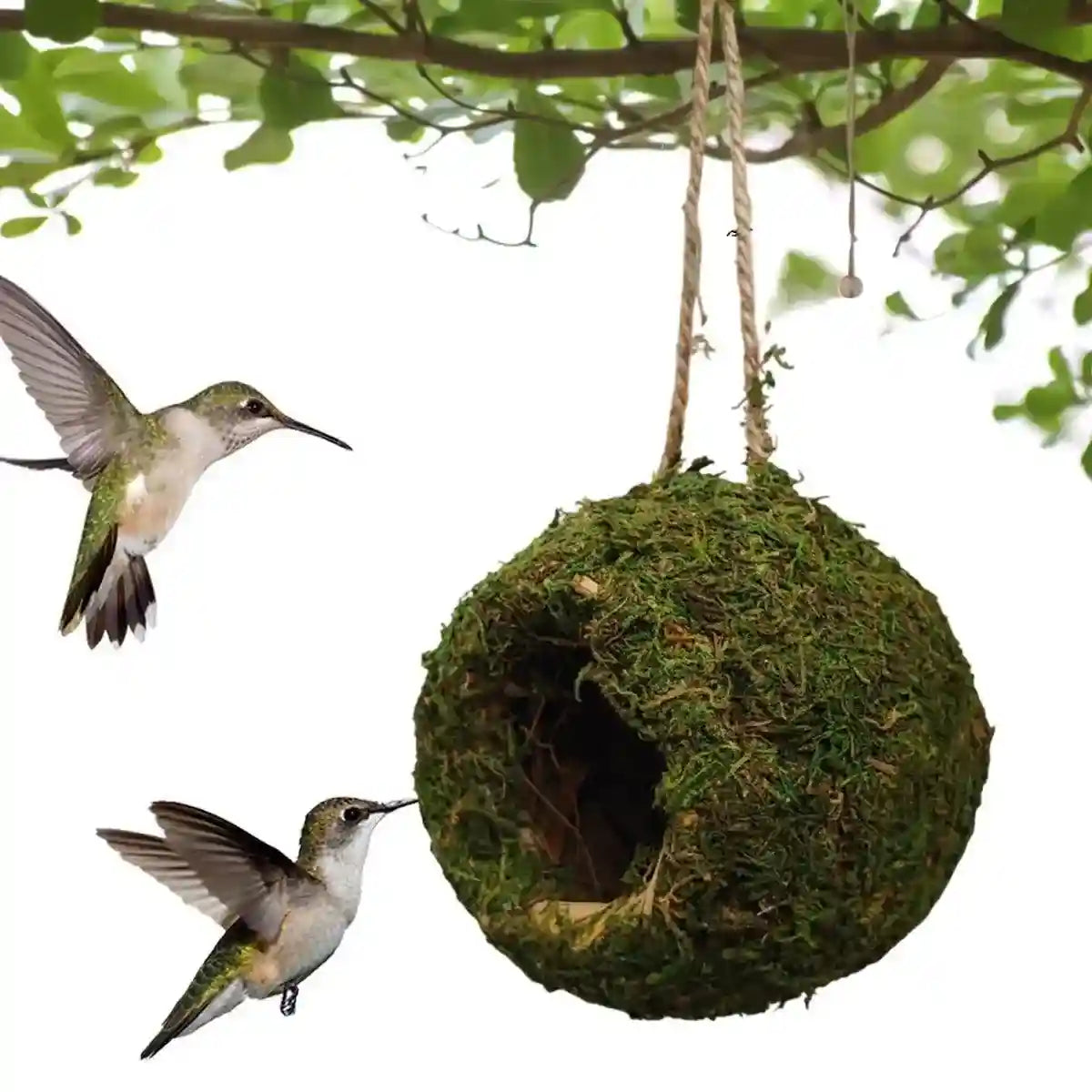 Eco-Friendly Hanging Moss House For Birds & Reptiles