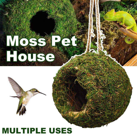 Eco-Friendly Hanging Moss House for Reptiles and Birds