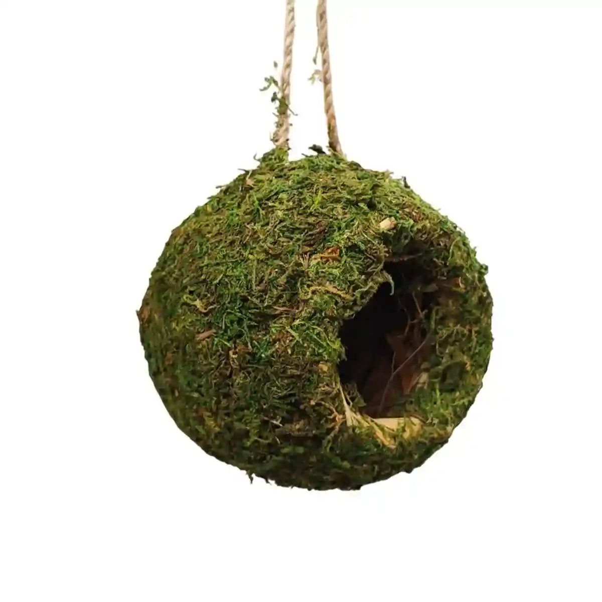 Eco-Friendly Hanging Moss House For Birds & Reptiles