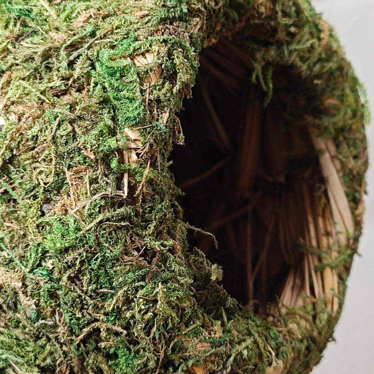 Eco-Friendly Hanging Moss House For Birds & Reptiles