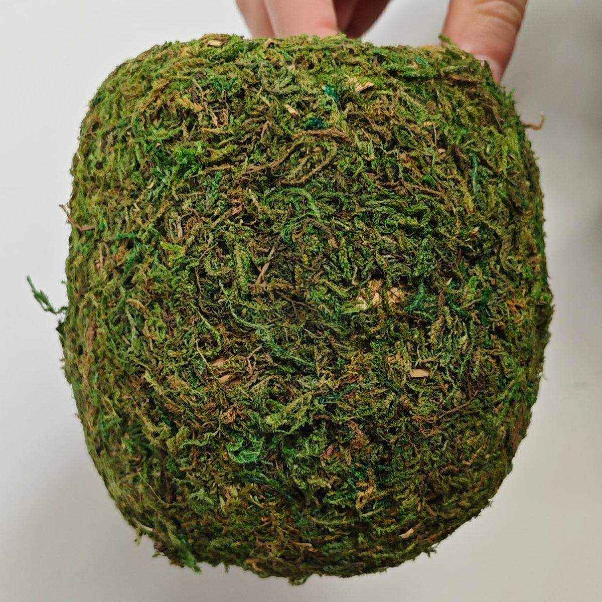 Eco-Friendly Hanging Moss House For Birds & Reptiles