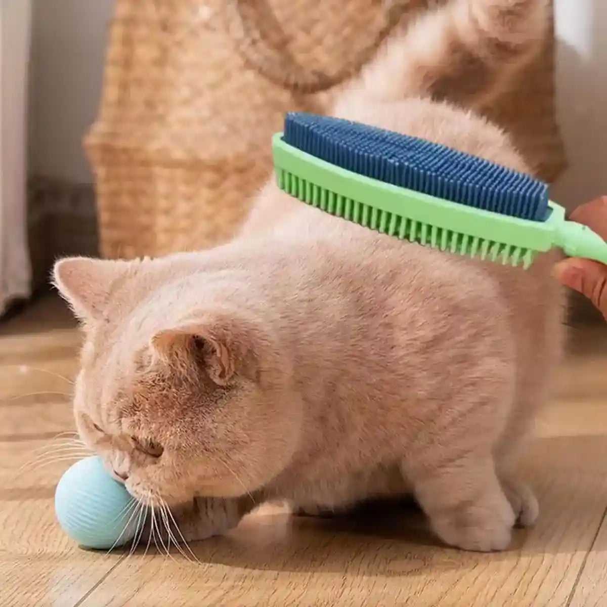 2-in-1 Pet Hair Removal Brush with Dual-Sided Bristles