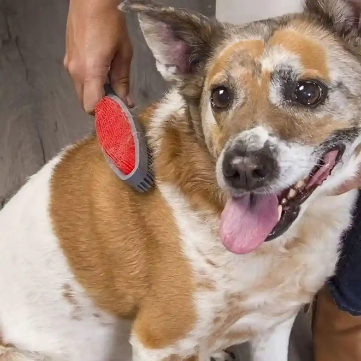 2-in-1 Pet Hair Removal Brush with Dual-Sided Bristles