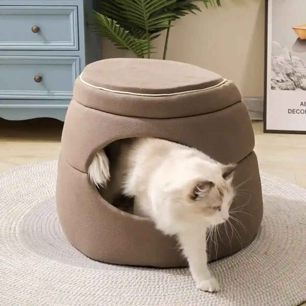 Multi-Functional Cat Igloo Bed Cozy Retreat