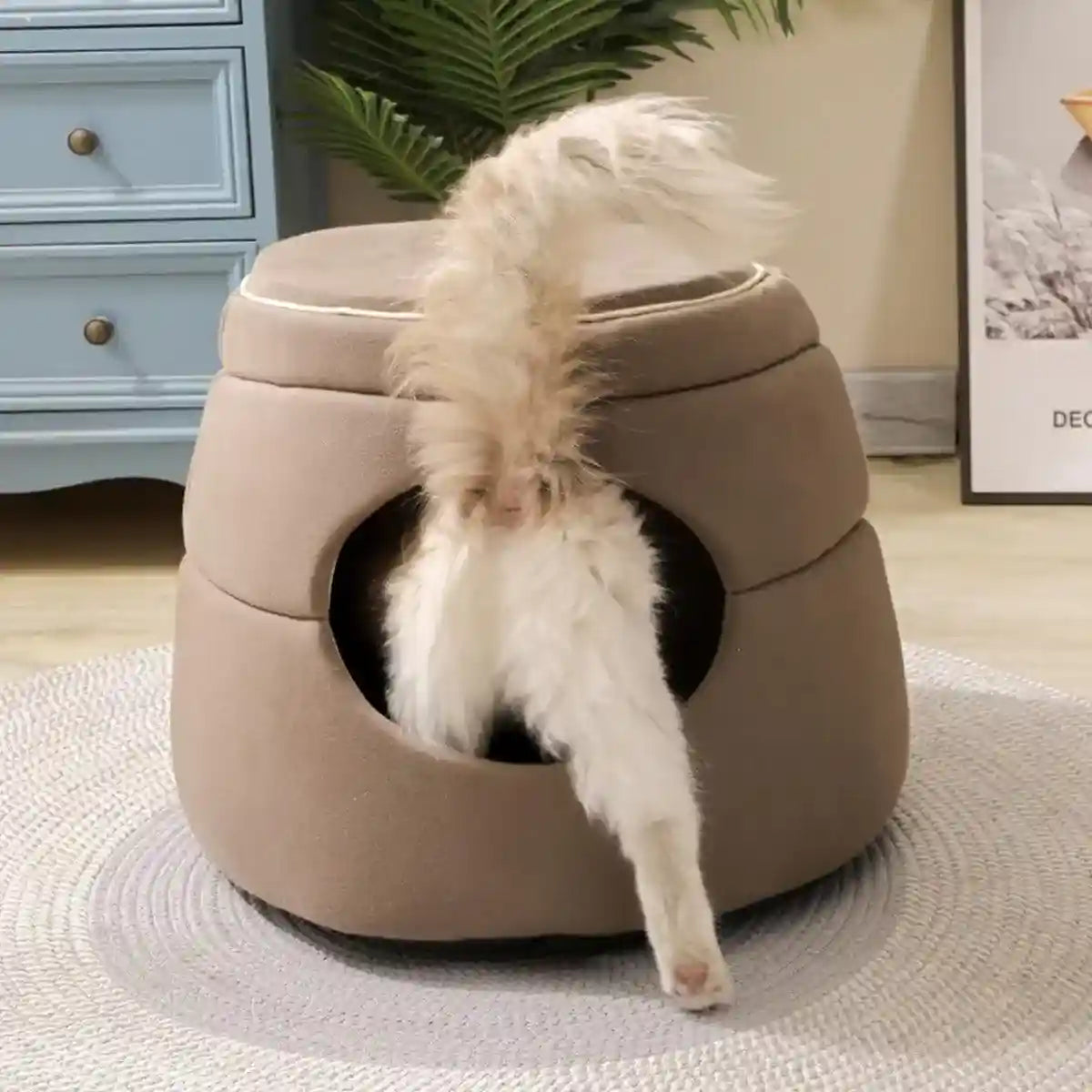 Multi-Functional Cat Igloo Bed Cozy Retreat