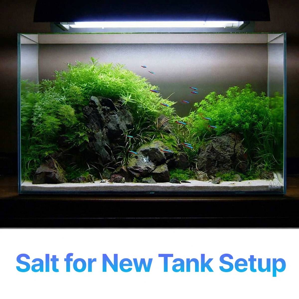 Aquarium Fish Salt 2PCS - Multivitamin Stress Relief Tonic