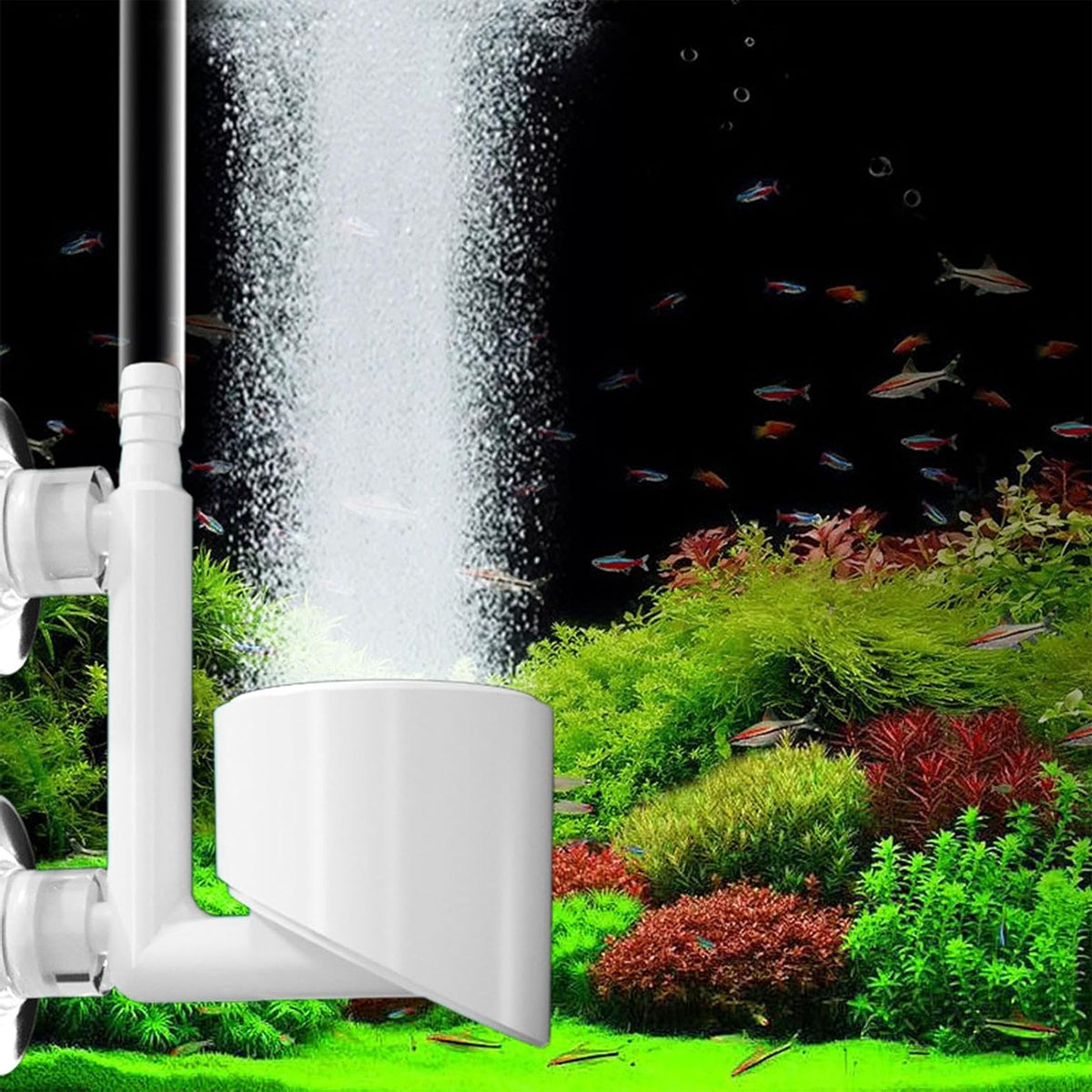 Nano Aquarium Air Stone Bubble Diffuser with Double Suction Cups
