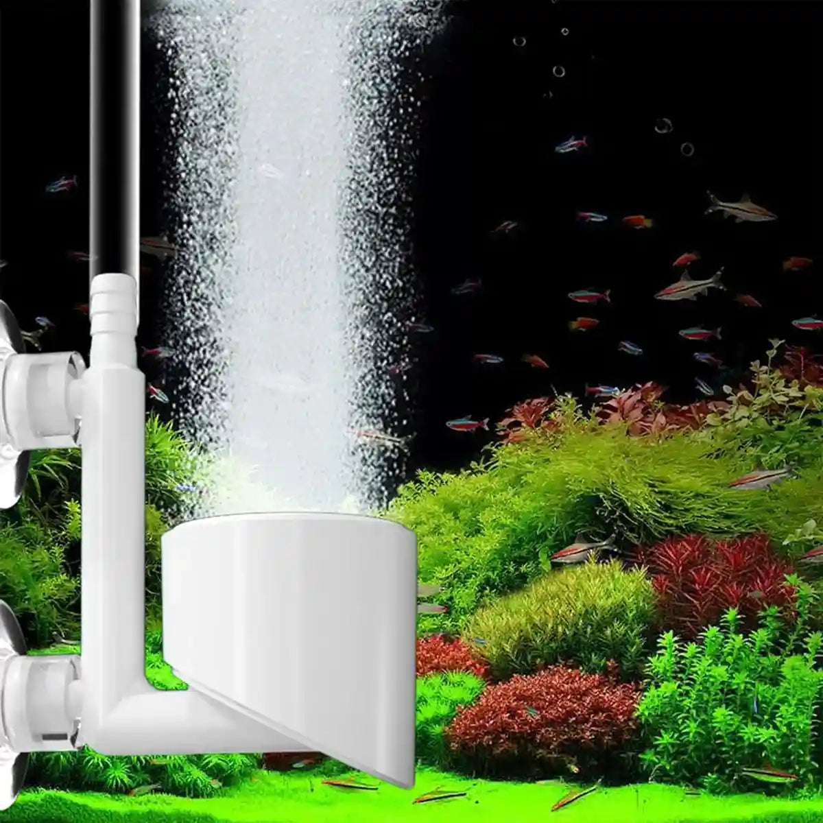 Nano Aquarium Air Stone Bubble Diffuser with Double Suction Cups