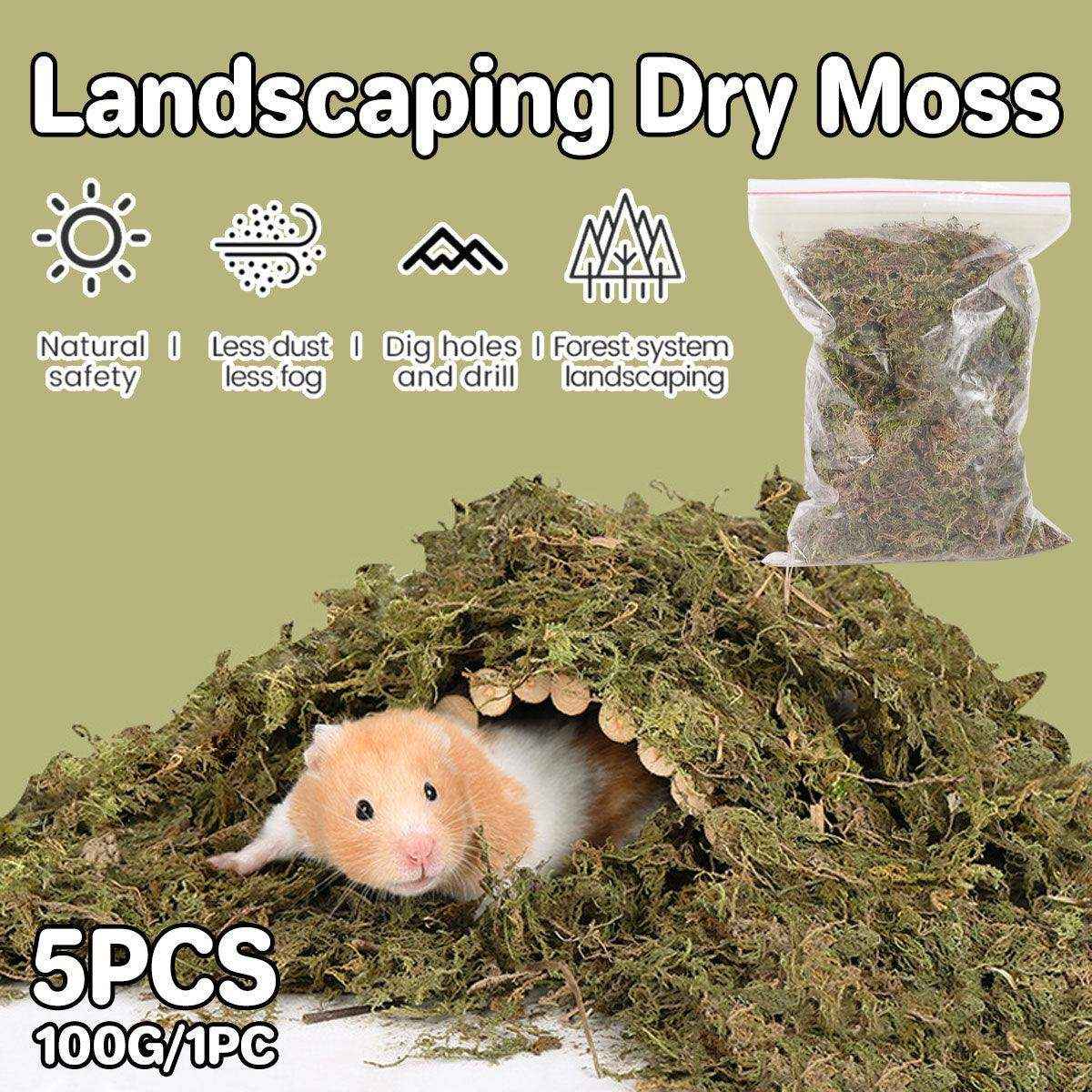Natural Dry Moss for Hamsters & Reptiles Soft Bedding & Landscaping
