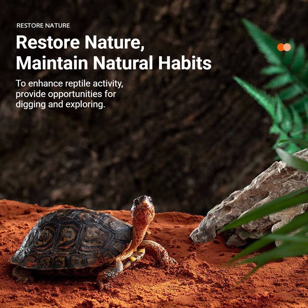 Reptile Laterite Soil - Natural Turtle Tank Landscape Substrate