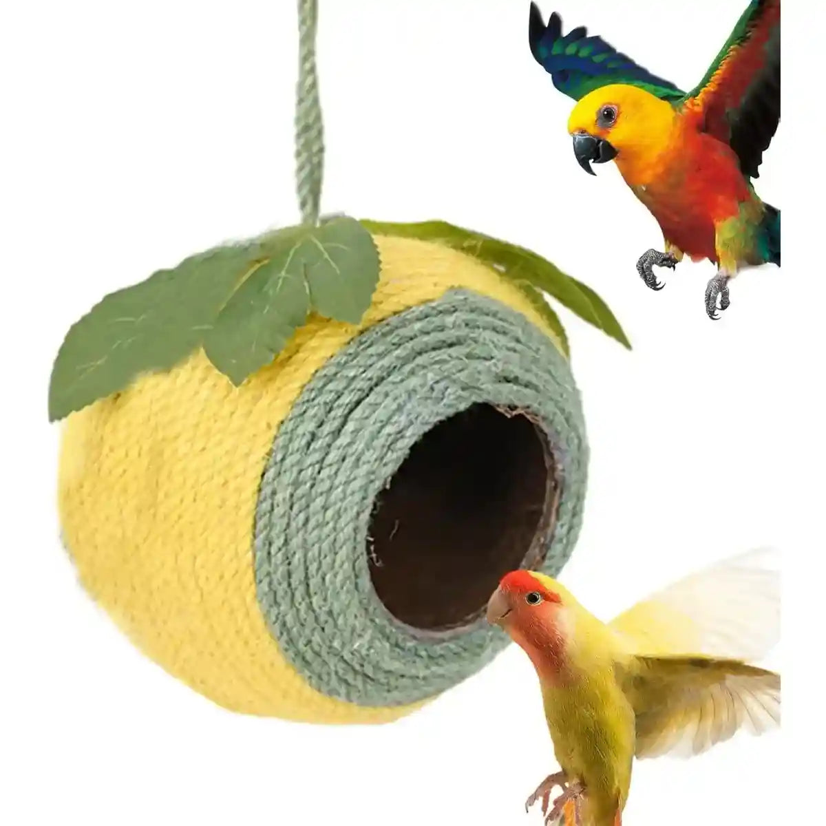 Natural Coconut Shell Bird Nest with Hanging or Screw Mount