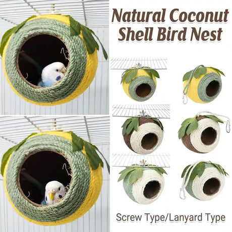 Eco-friendly hummingbird house made from coconut shell