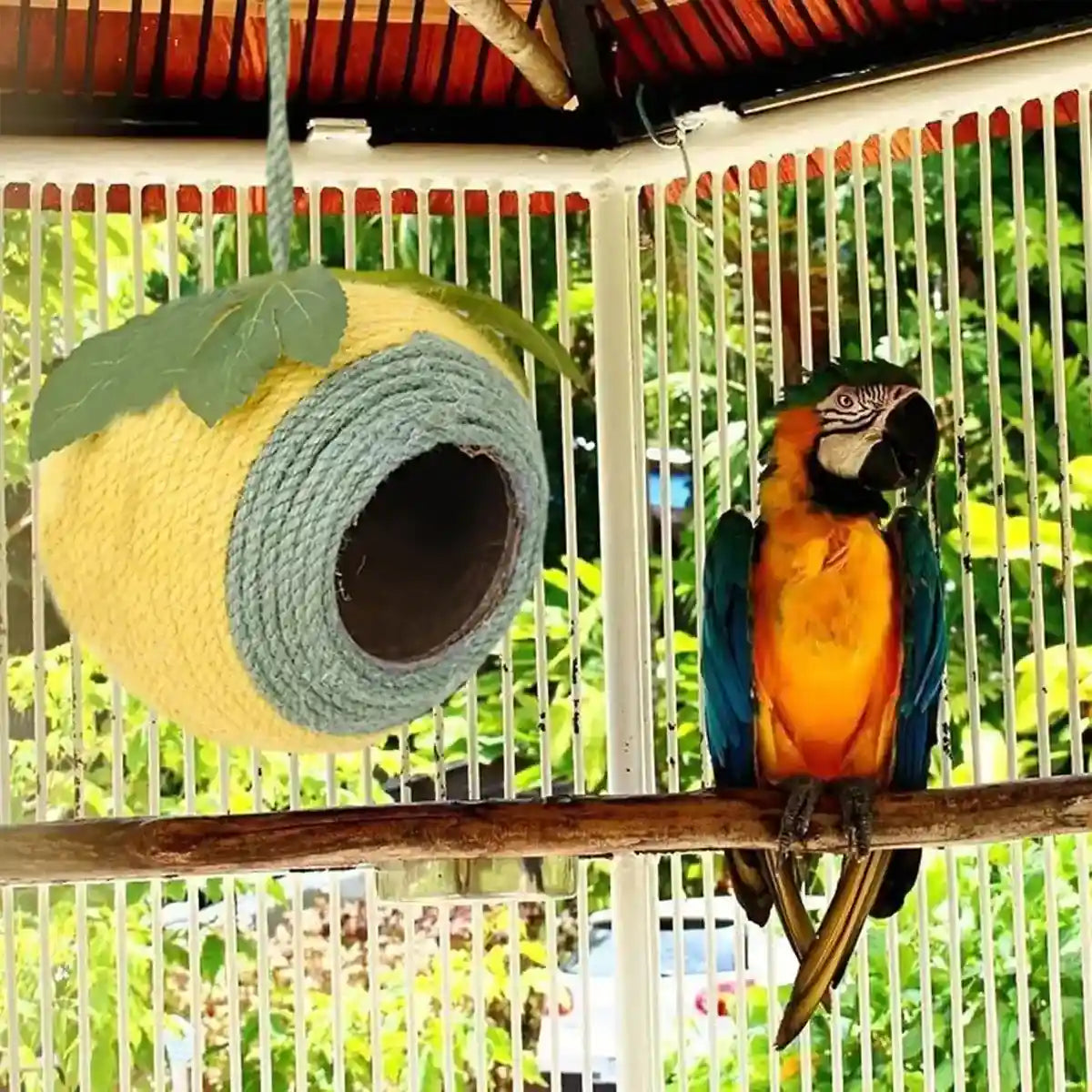 Natural Coconut Shell Bird Nest with Hanging or Screw Mount