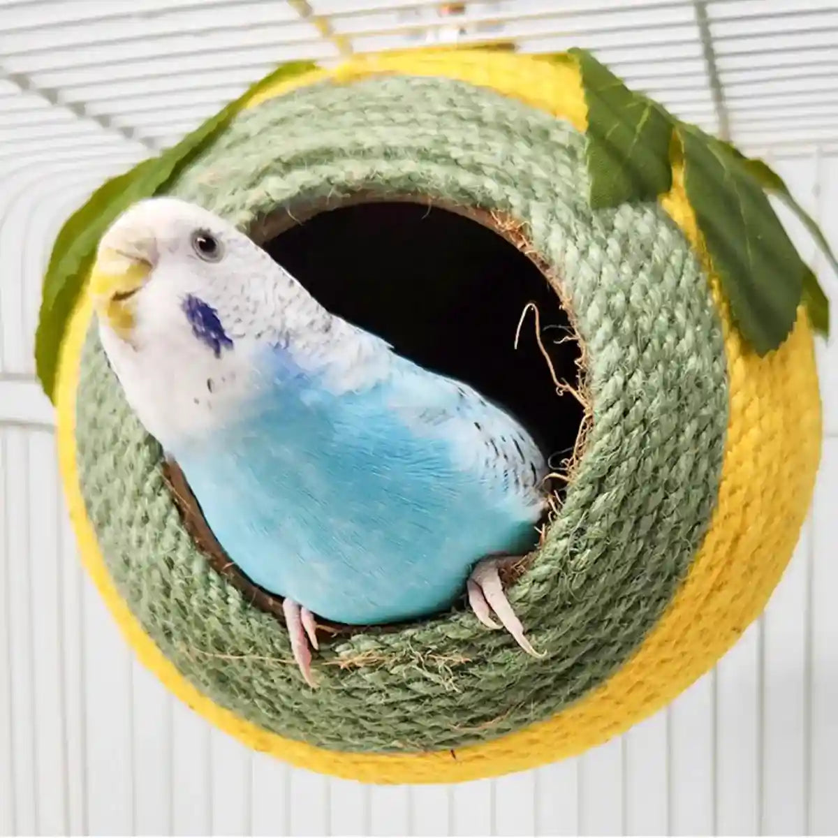 Natural Coconut Shell Bird Nest with Hanging or Screw Mount